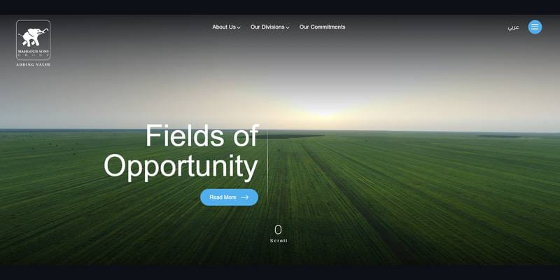 Mahgoub Sons Group homepage